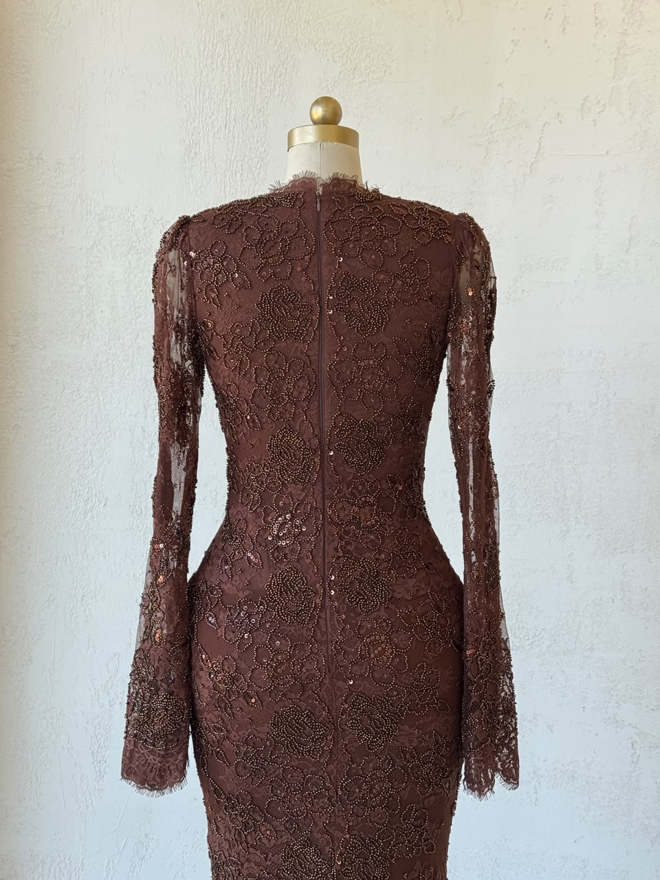Brown mermaid gown with v-neck, long sleeves. lace and embroidery